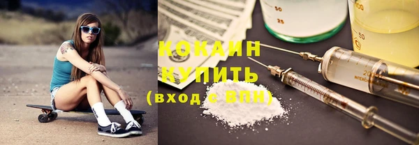 прущий лед Алзамай